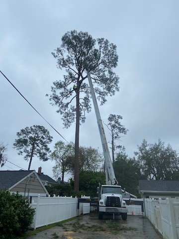Robert's Tree Service