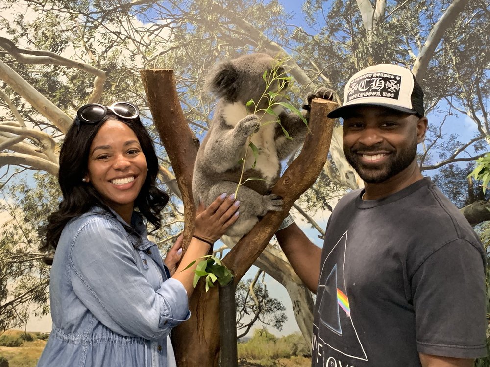 Blue Mountains Day Tours