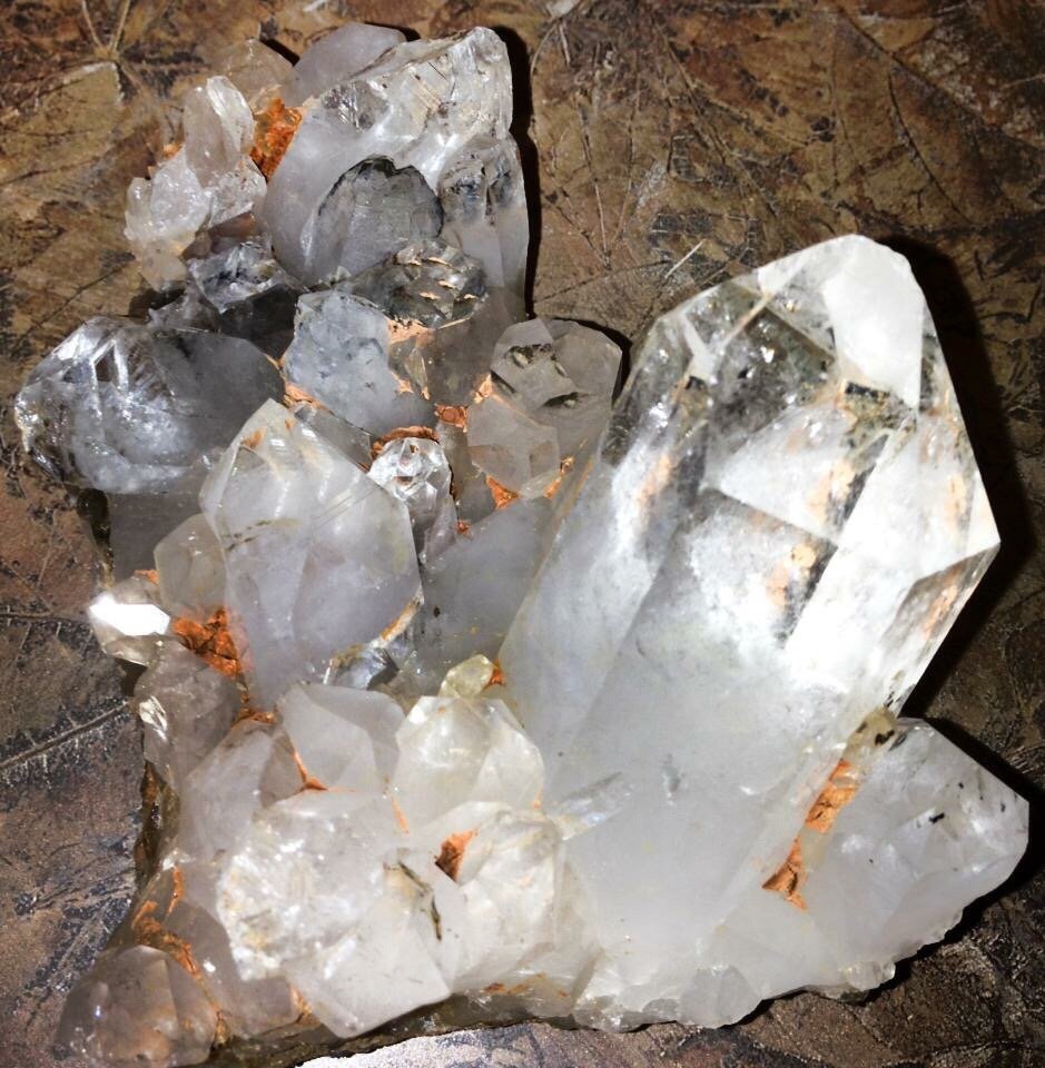 Ron Coleman Mining 34 Photos & 12 Reviews Ziplining 155 Crystal Ridge Ln, Jessieville, AR