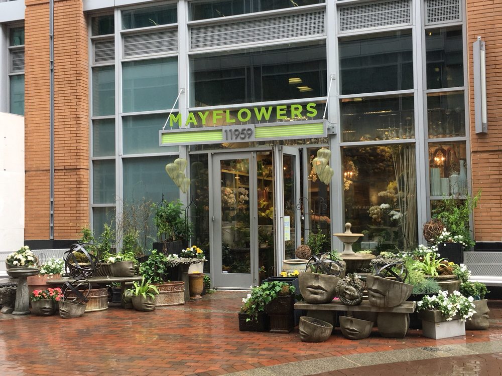 Best Florist Near Reston Va at Ervin Wells blog