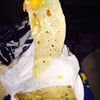 Roberto's Taco Shop