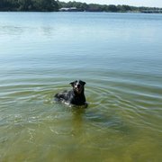 Bayview Dog Beach 53 Photos 34 Reviews Parks 2001 E Photo Of Bayview Dog Beach Pensacola Fl United States Nope We