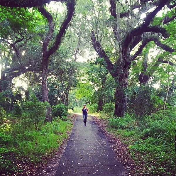 Robbin’s Park - 27 Photos - Parks - 4005 Hiatus Rd, Davie, FL - Phone