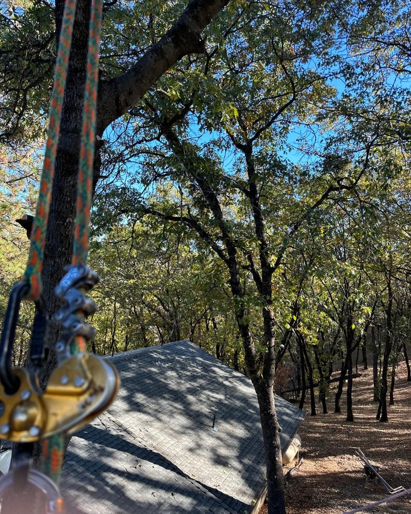 Valley Pro Tree Service