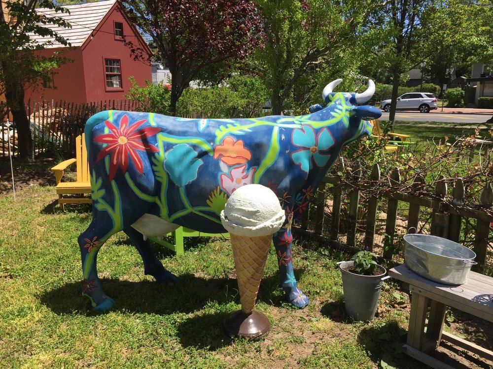 East Hampton Flowers
