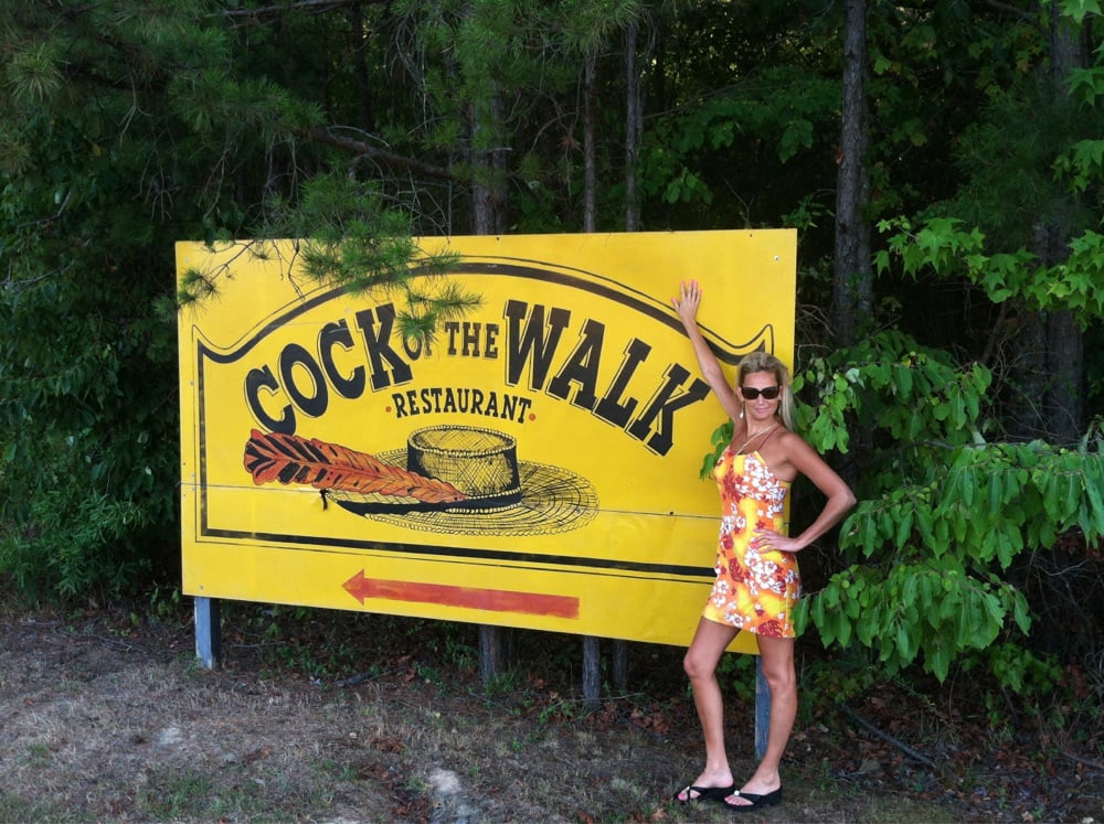 cock on the walk arkansas Cock on the walk arkansas