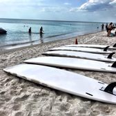 Naples Beach Water Sports Boating 280 Vanderbilt Rd Photo Of Naples Beach Water Sports Fl United States Sups
