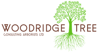 Woodridge Tree