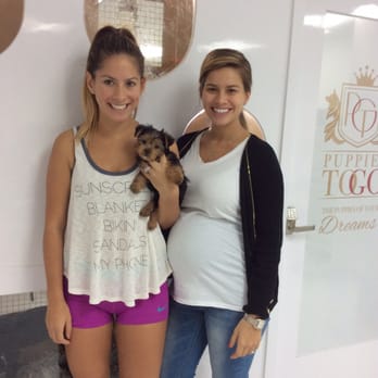 puppies to go puppies to go