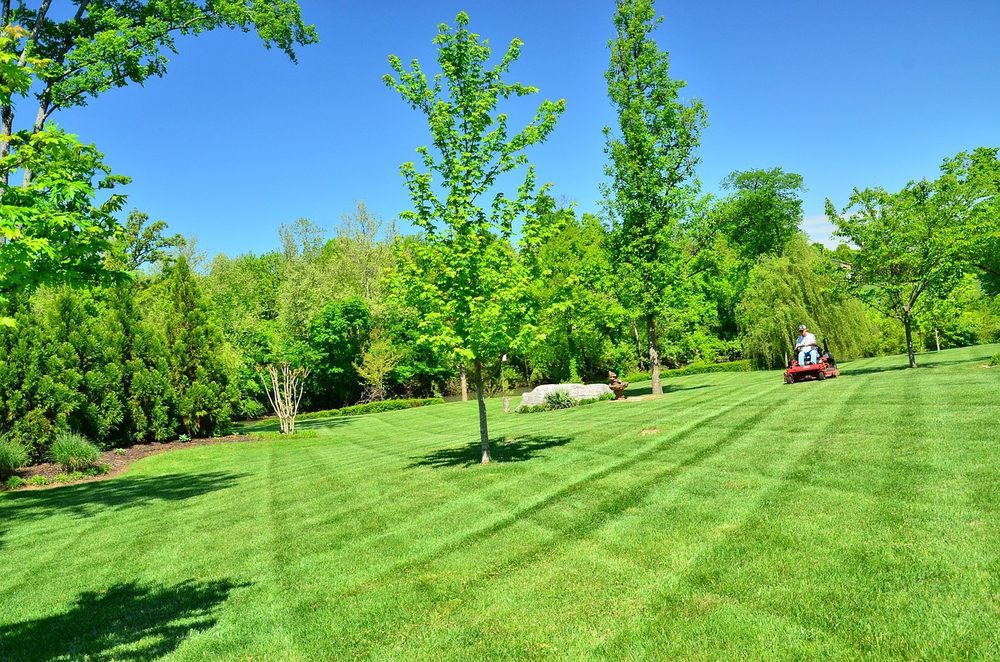 K&W Lawn and Handyman Service