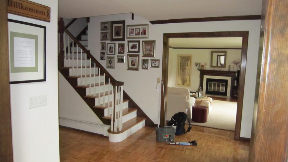 Indoor Mold Specialist