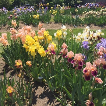 Presby Memorial Iris Gardens - 54 Photos & 10 Reviews - Home & Garden