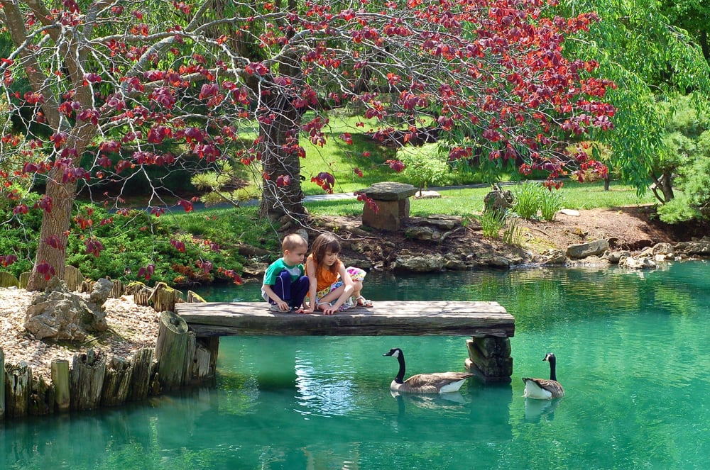 Mizumoto Japanese Stroll Garden - 13 Photos & 15 Reviews - Parks - 2400