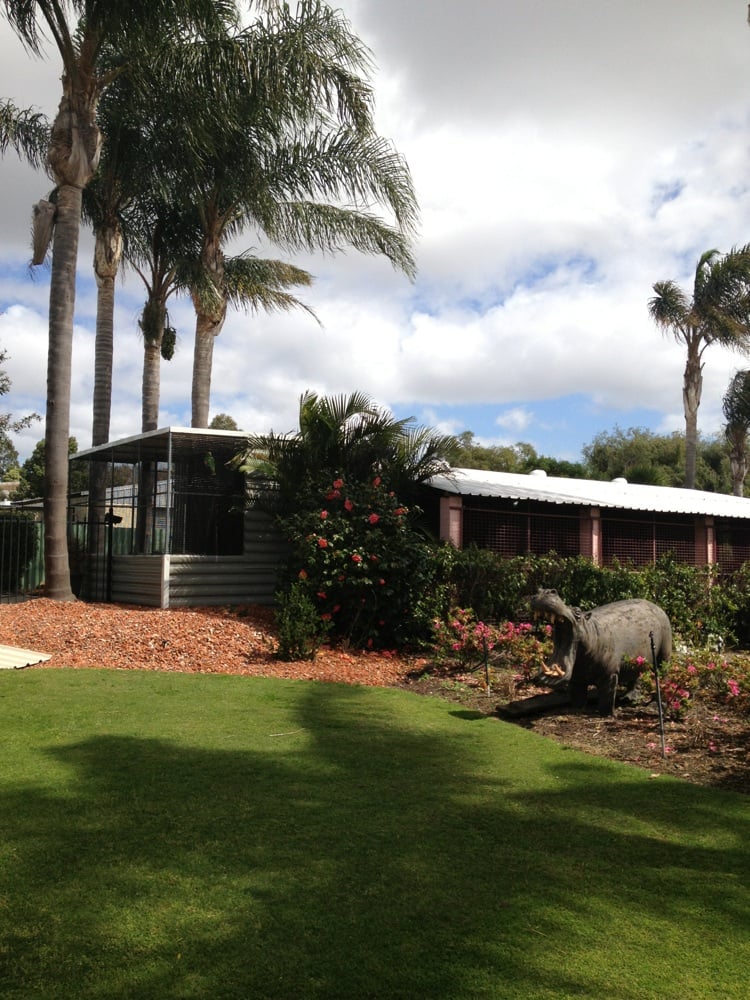 CanningVale Dog Boarding Kennels & Cattery Pet Boarding/Pet Sitting