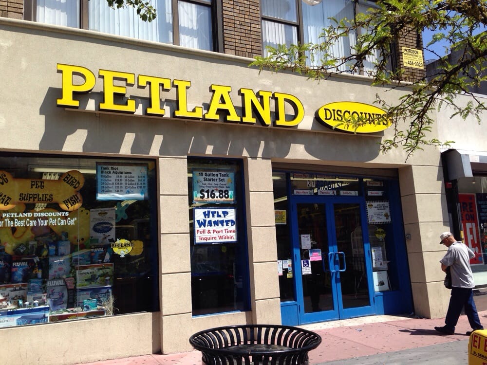 Petland Discounts Get Quote Pet Stores 27 Broad St, Elizabeth, NJ