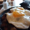 Toast & Co