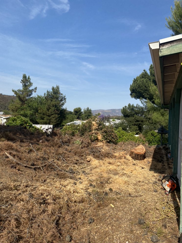 SD Tree Service