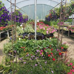 Warner Nursery Garden Center Nurseries Gardening 76 Photo Of Warner Nursery Garden Center Simsbury Ct United States Our