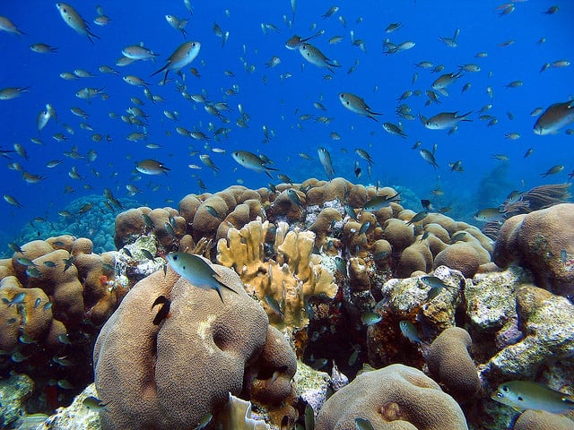 Blue Planet Scuba