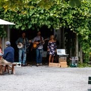Wineries on long island with live music
