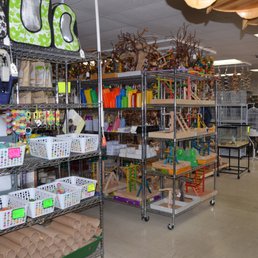 fotos de arizona bird store yelp fotos de arizona bird store yelp