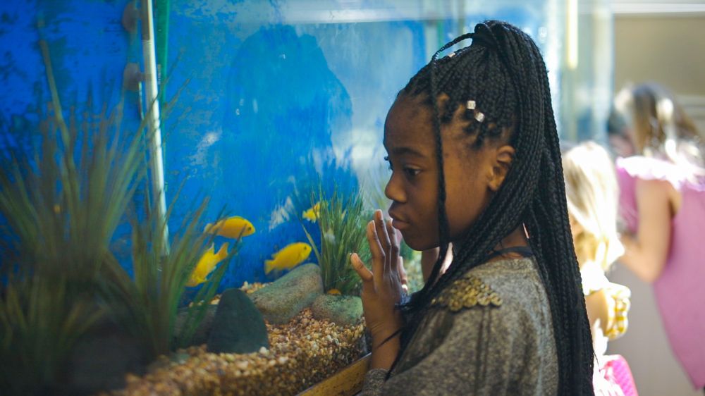 image of business Annapolis Pediatrics