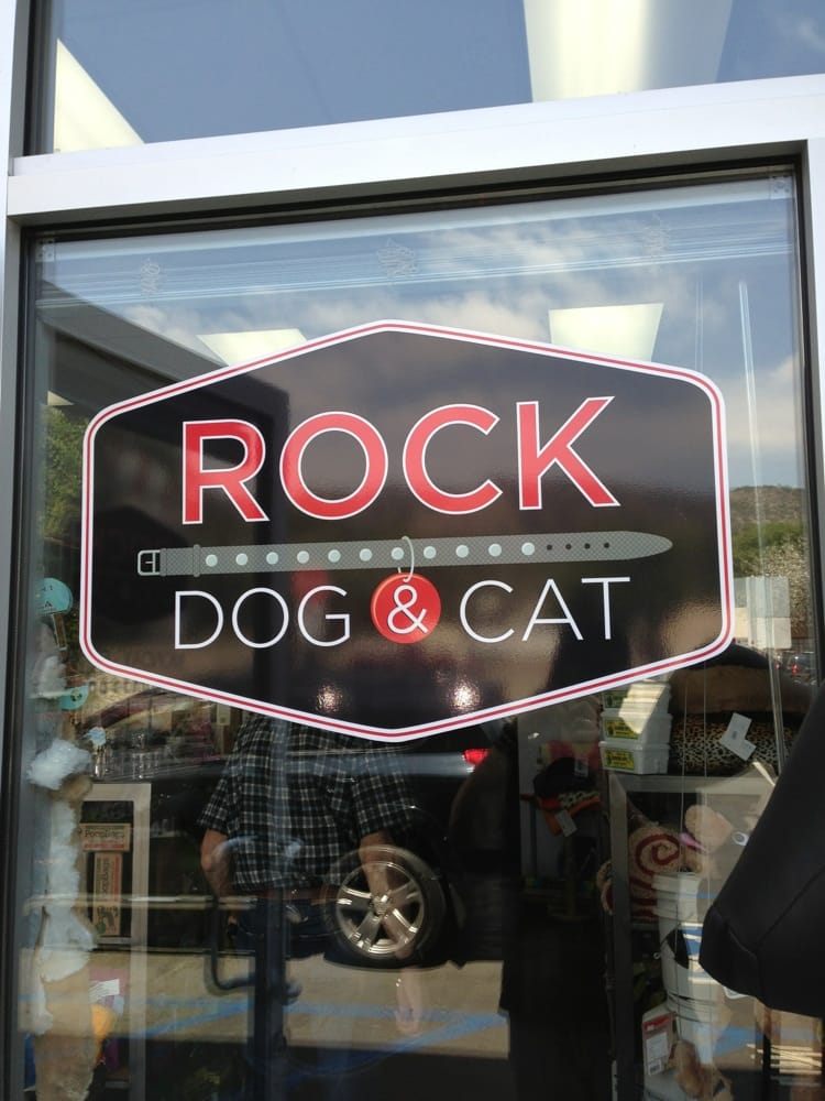 rock dog and cat 17 photos 94 reviews pet stores rock dog and cat 17 photos 94 reviews pet stores
