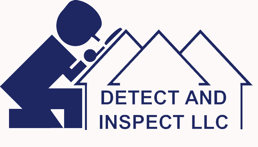 Detect and Inspect