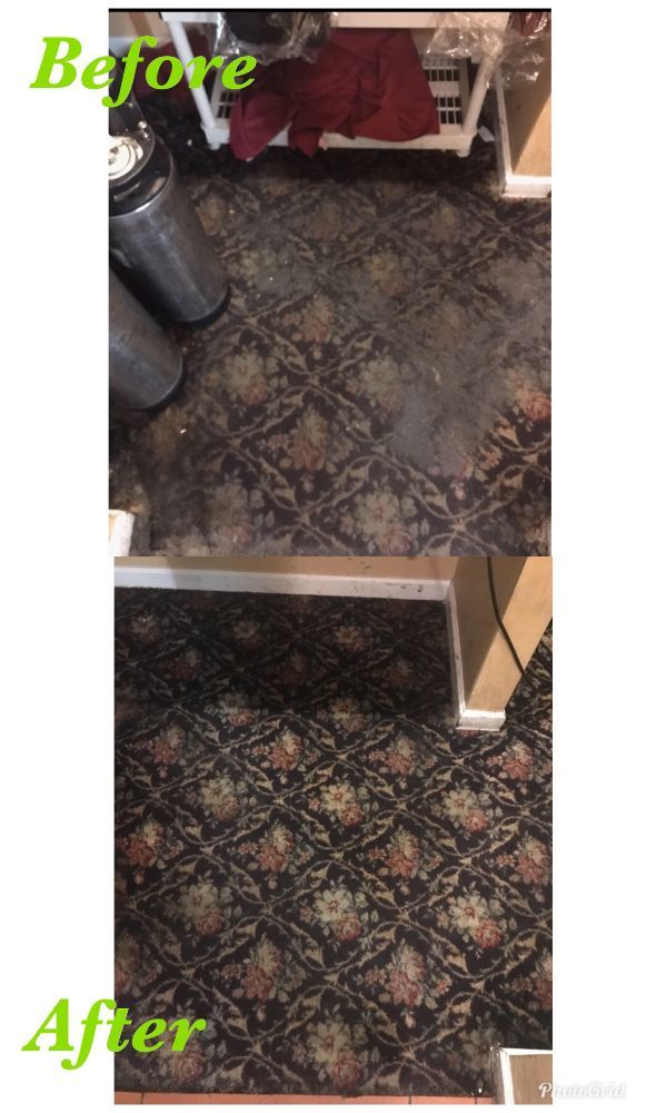 First Class Carpet & Upholstery Cleaning