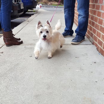 Dog Friendly Places In Annapolis Md Dog Friendly Places In Annapolis Md