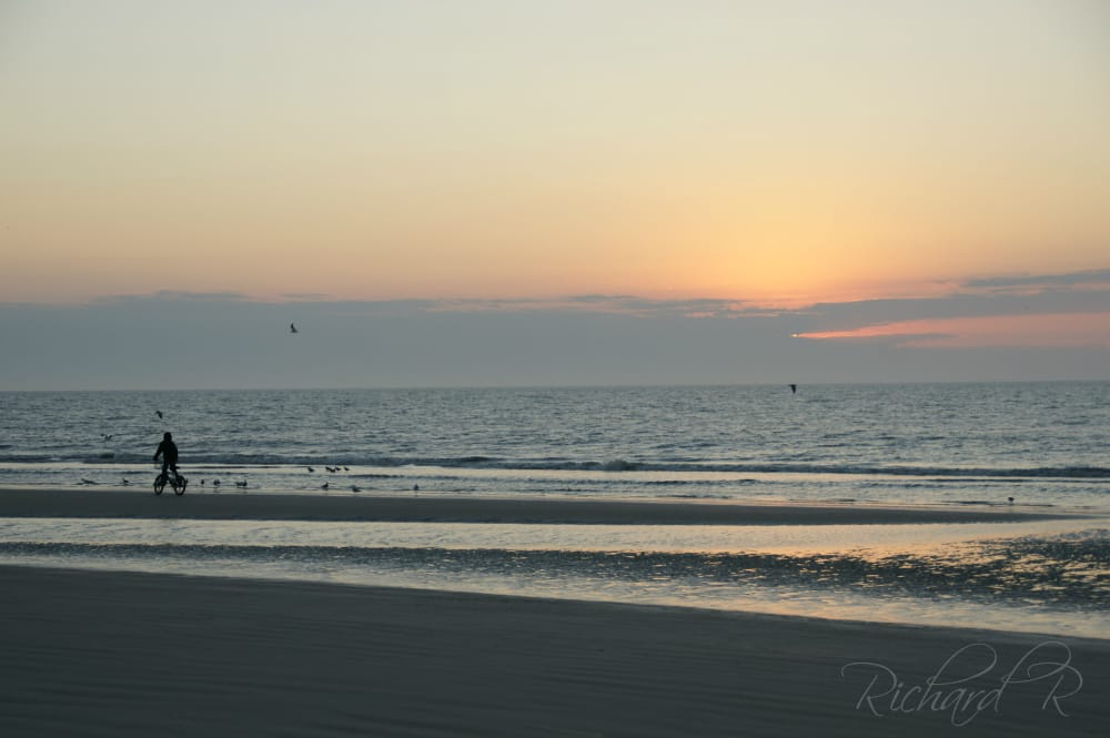 Coligny Beach Park 76 Photos & 47 Reviews 12 S Forest Beach Dr