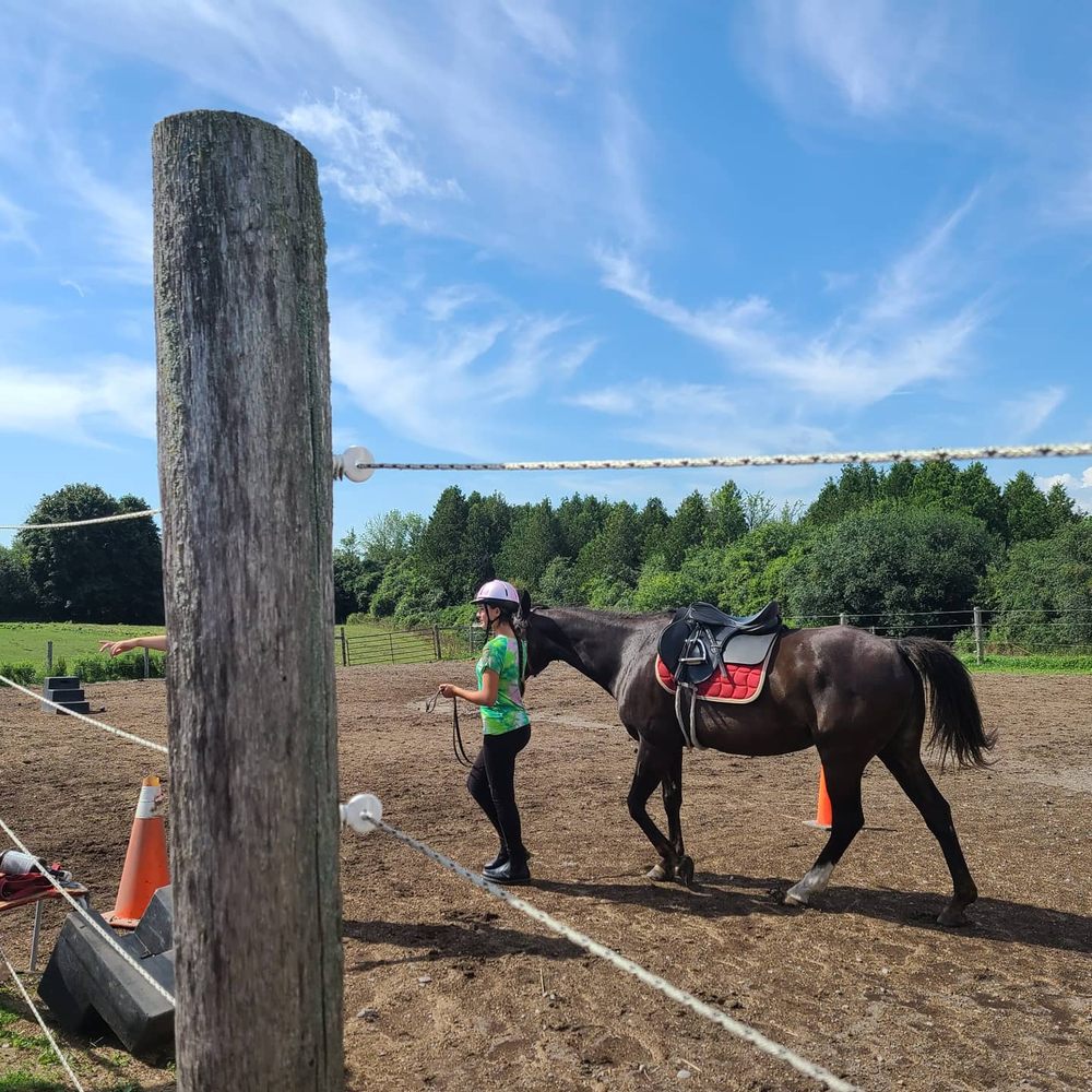Heartland Equestrian Center Inc.