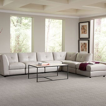 image of business Dave