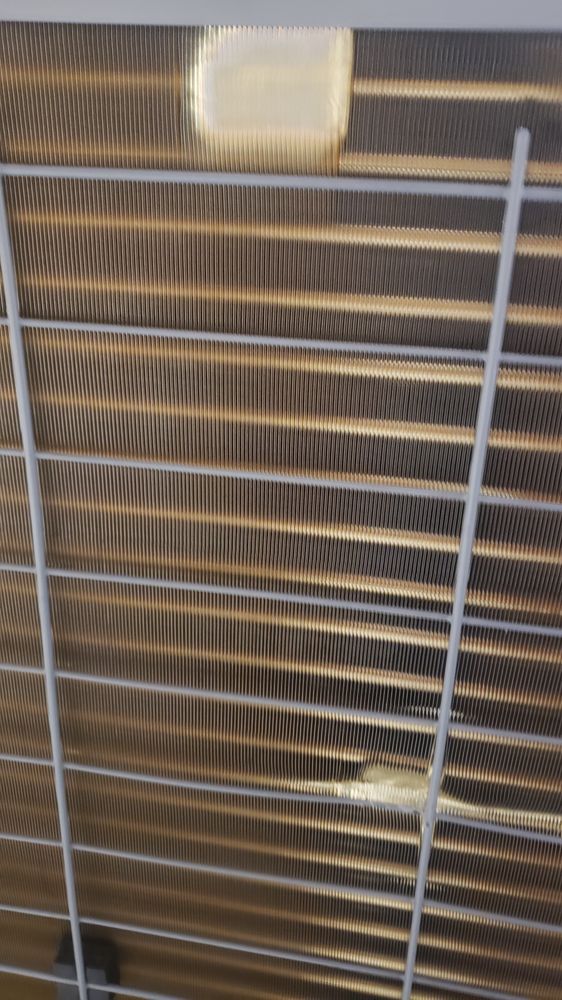 image of business Ingram