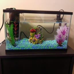 how much are classes at petco petco pet 1140 woodruff rd greenville sc phone number yelp how much are classes at petco petco pet 1140 woodruff rd greenville sc phone number yelp