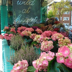 Wild At Heart Florists 222 Westbourne Grove Notting Hill Photo Of Wild At Heart London United Kingdom