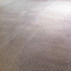Katy Carpet Cleaning In Tx Photo Of Brightway Carpet Cleaning Katy Tx United States Forgot To Take
