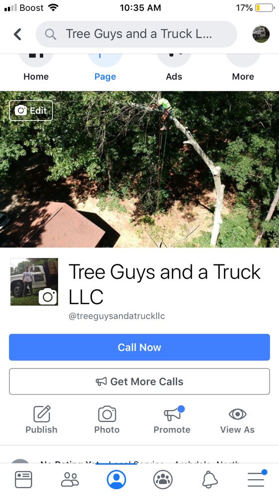 Tree Guys and a Truck