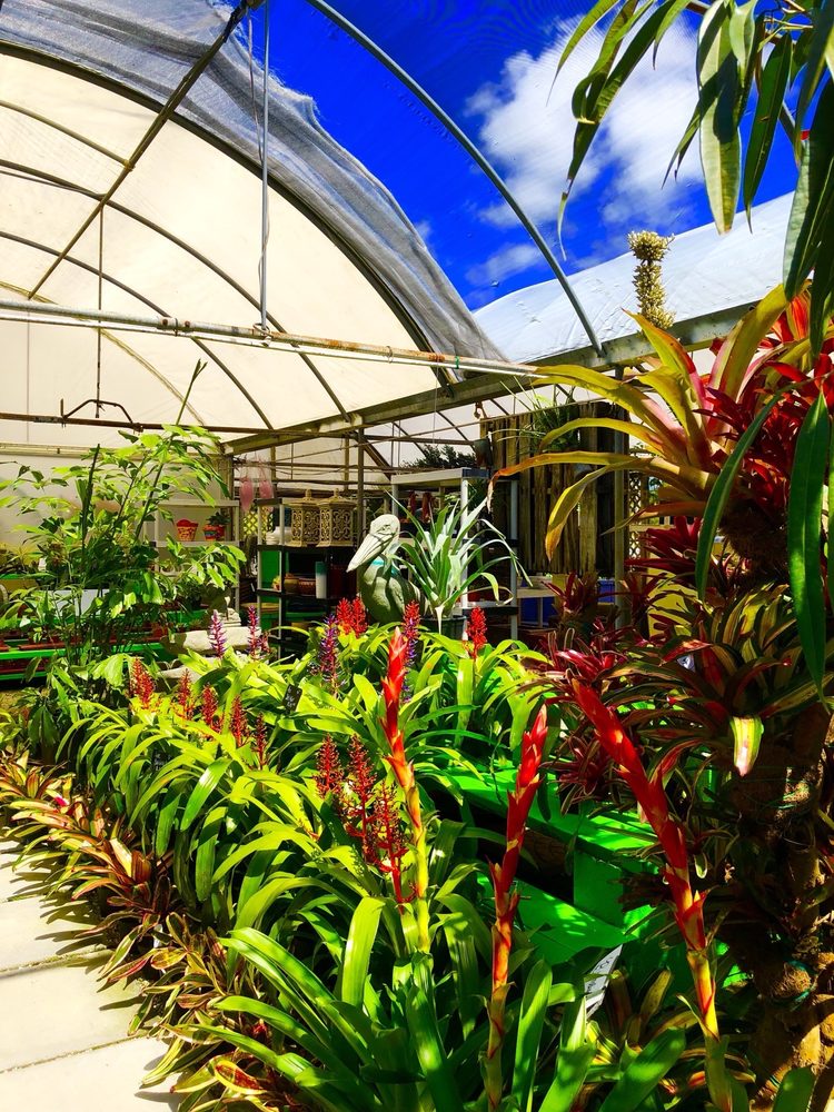 Photos For Galloway Farm Nursery Yelp Photo Of Galloway Farm Nursery Miami Fl United States