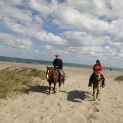 Ride The Beach On Horse Back Beaches 3500 S A1a Fort Pierce Fl Photo Of Ride The Beach On Horse Back Fort Pierce Fl United States