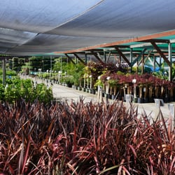 Green Acres Nursery & Supply - 113 Photos & 145 Reviews - Nurseries