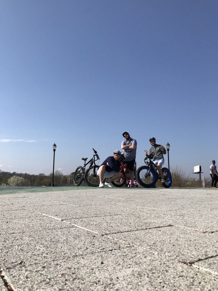 Pedego Electric Bikes 203