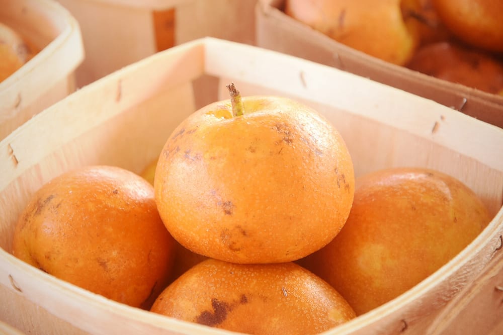 Riverside Arts Market 168 Photos & 92 Reviews Farmers Market