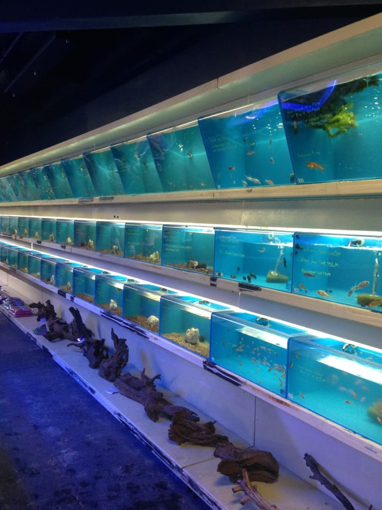 Photos for Aquarium Depot Yelp