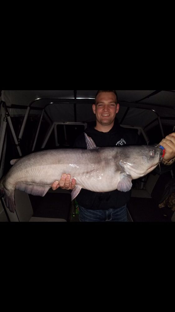 Capital Catfishing