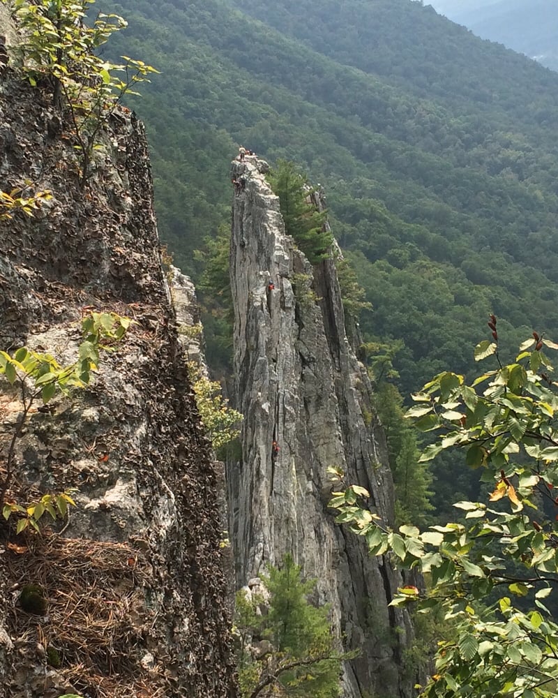 Seneca Rocks National Recreation Area 12 Photos & 14 Reviews Hiking