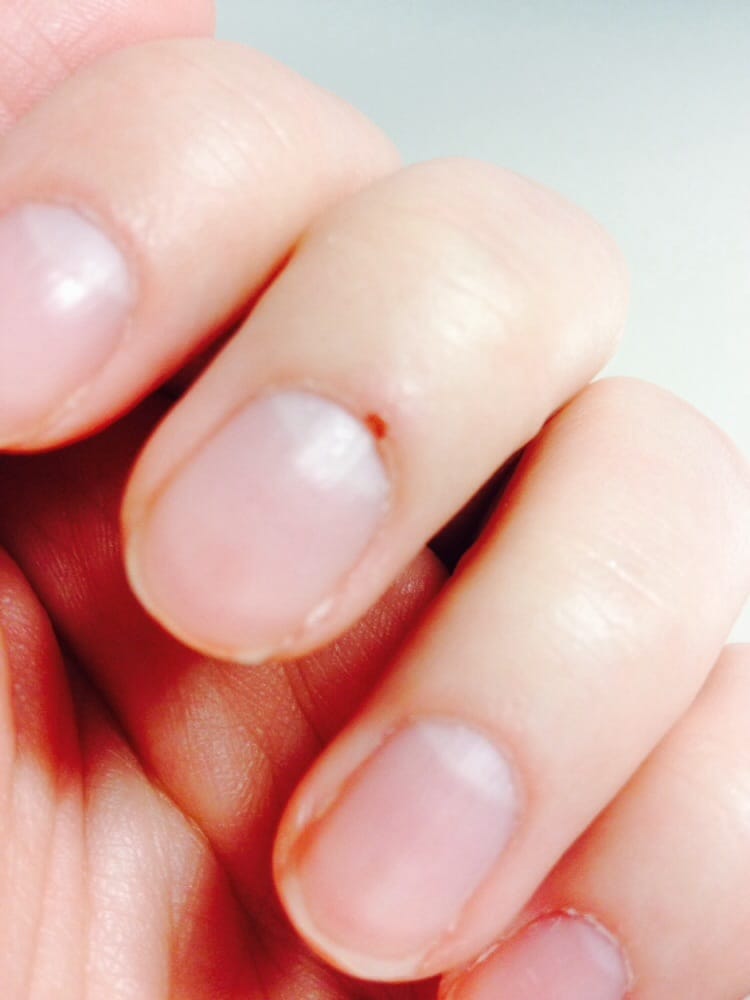 Nail Groove & Spa 16 Photos & 26 Reviews Nail Salons 3330