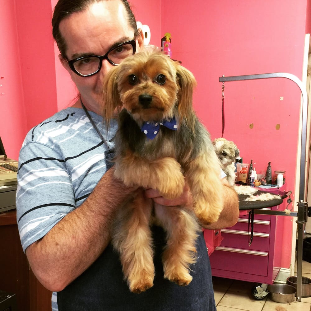 grooming philadelphia spot s spot pet grooming 495 fotos 96 beitr 228 ge hundesalon tiersalon 123 w grooming philadelphia spot s spot pet grooming 495 fotos 96 beitr 228 ge hundesalon tiersalon 123 w