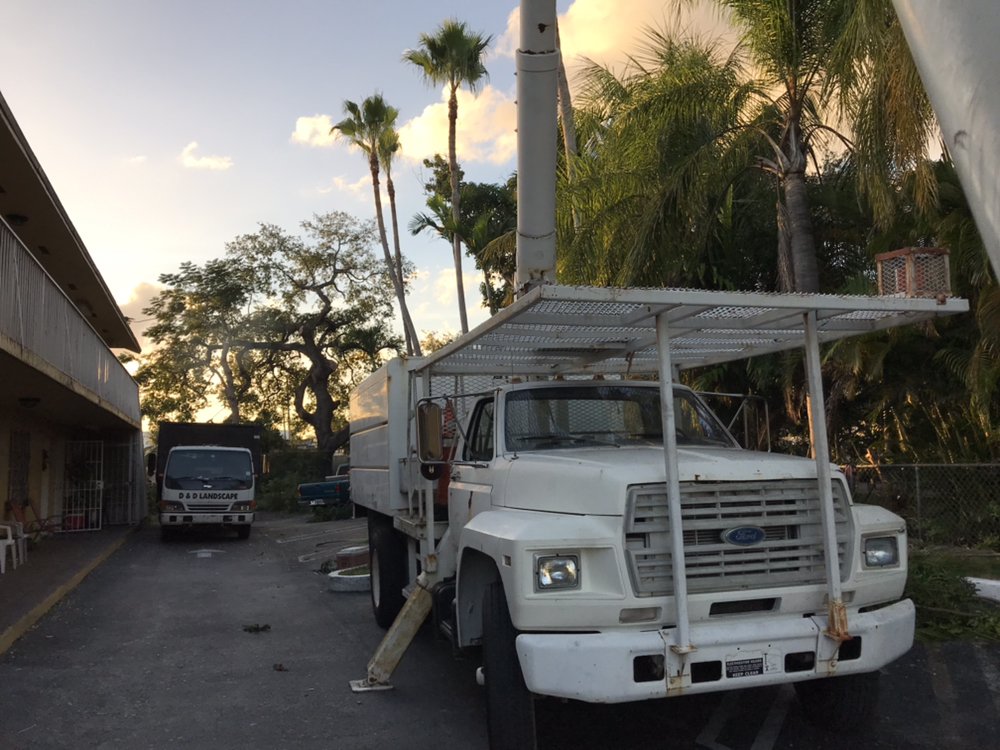 D&D Tree Service