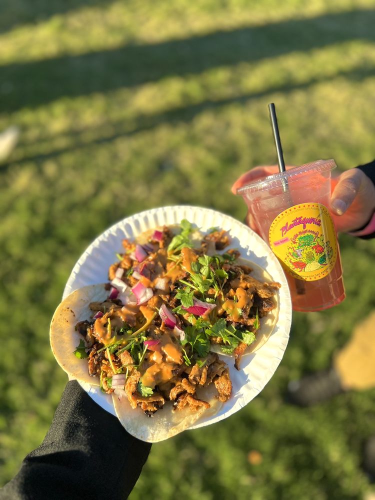 plantaqueria plantaqueria